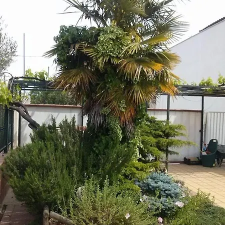 Apartmán Artistic Comfy Apt +exotic Garden